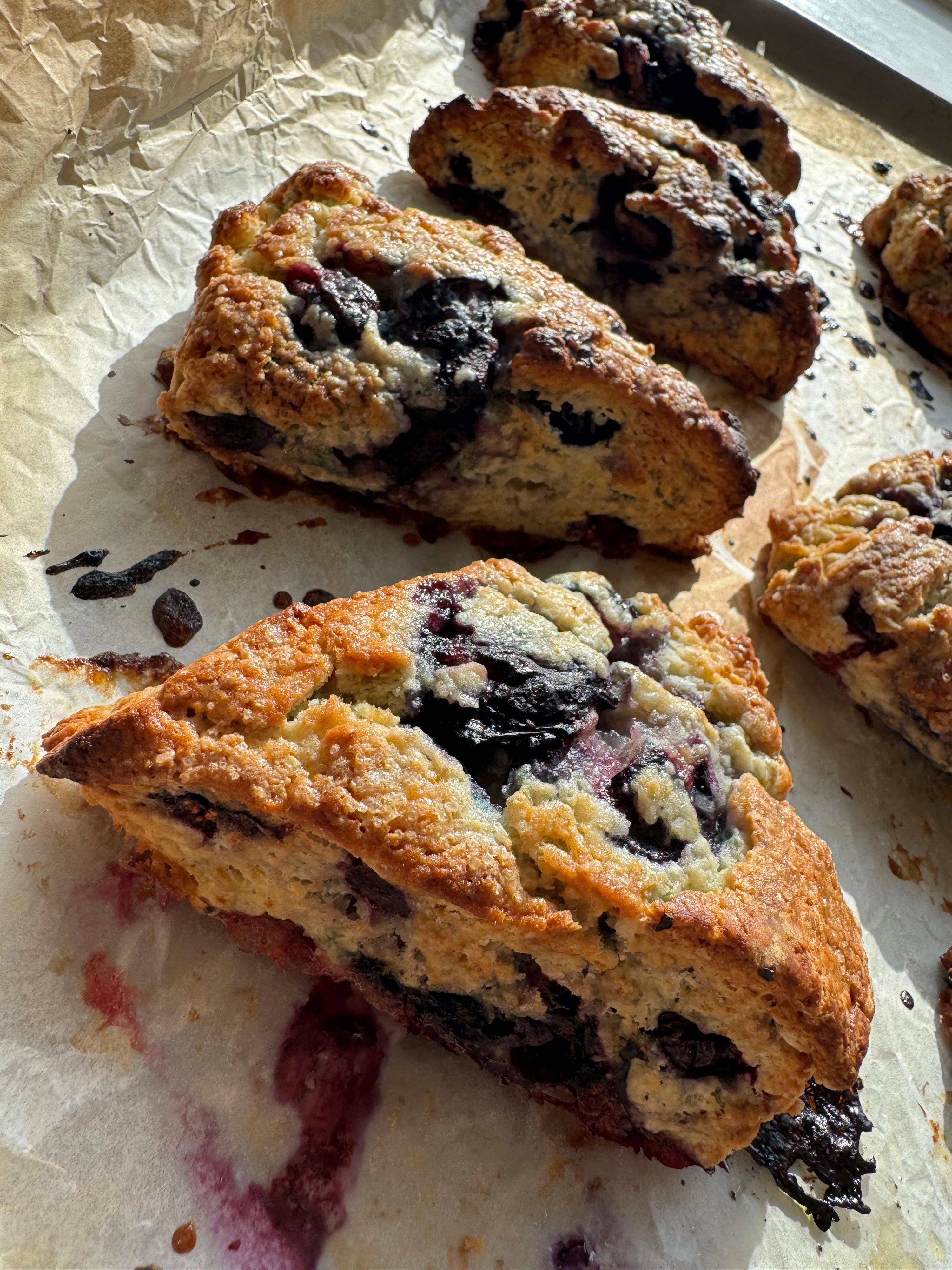 Blauwe Bessen Scones