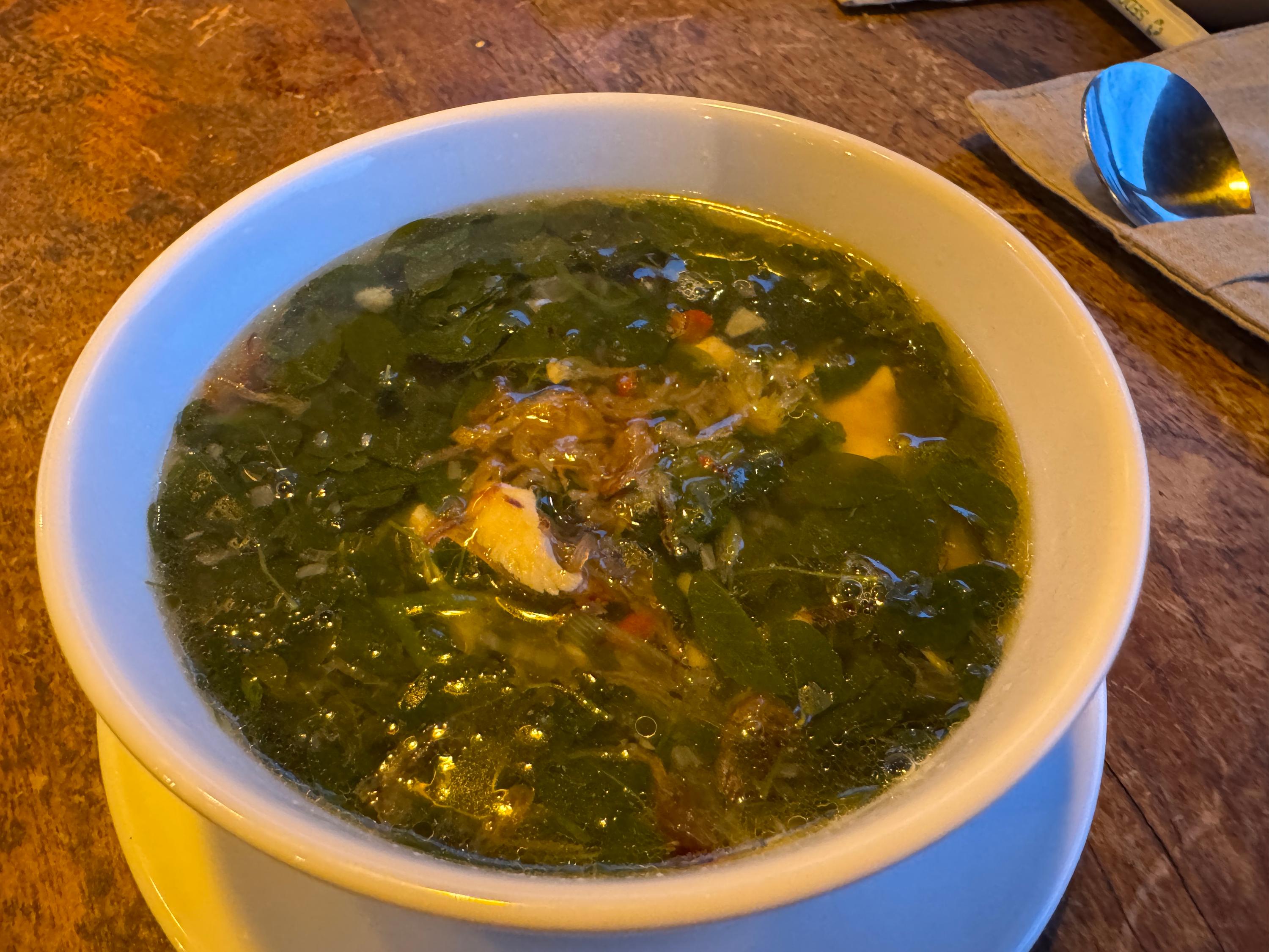 Moringa soep met kip